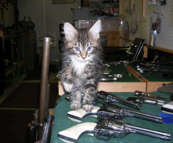 Cheyenne endorses Ruger New Vaqueros with the Cowboy Gunworks 'Full Race Gun' package.