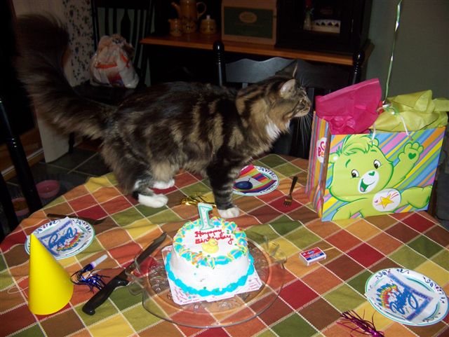 Checking out the presents on her 1st birthday.