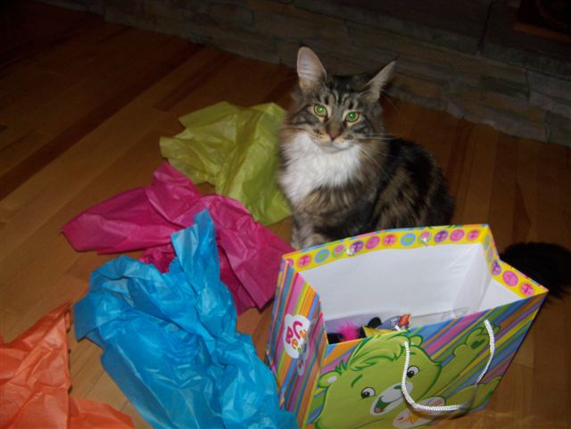 Cheyenne at her 1st Birthday ...