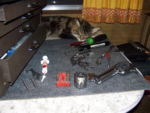 Cheyenne helping out Jimmy late at night.