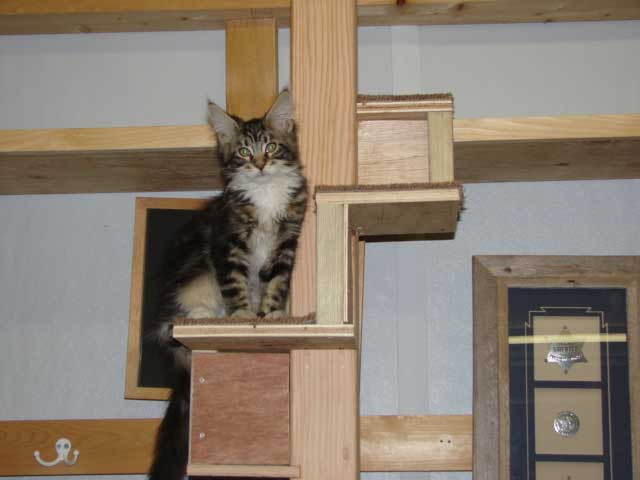Cheyenne posing on her stairs.