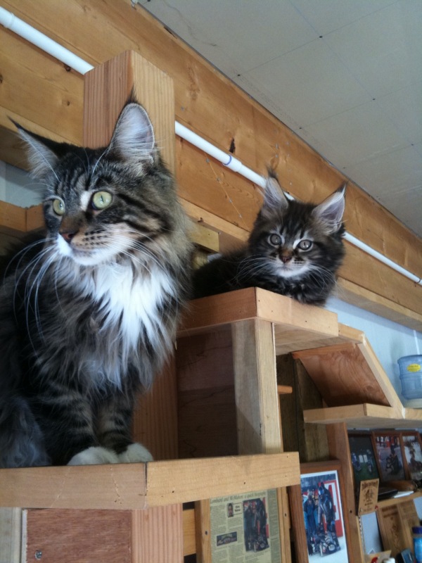 Kaylee and Cody in early September 2009.