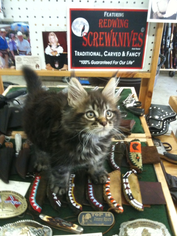 Cody endorses Redwing Knives!