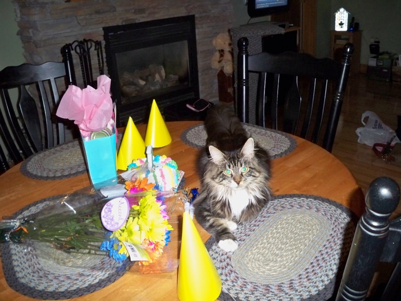 Kaylee whooping it up on her first birthday.