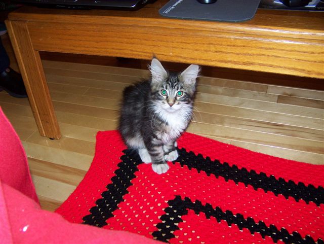 Here she is when she first came to join us.