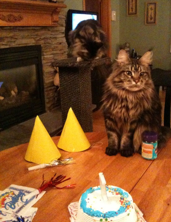 Cody during his first birthday party.