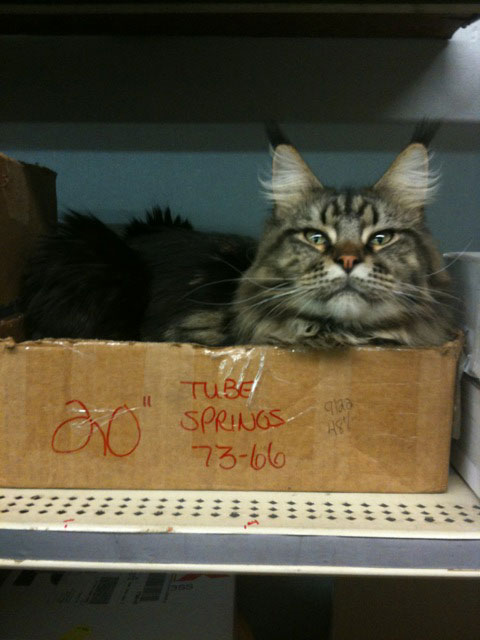 Cody relaxing after checking inventory of magazine tube springs.