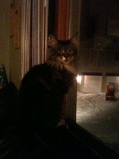 Kaylee at 10pm waiting on Mommy to come home ...