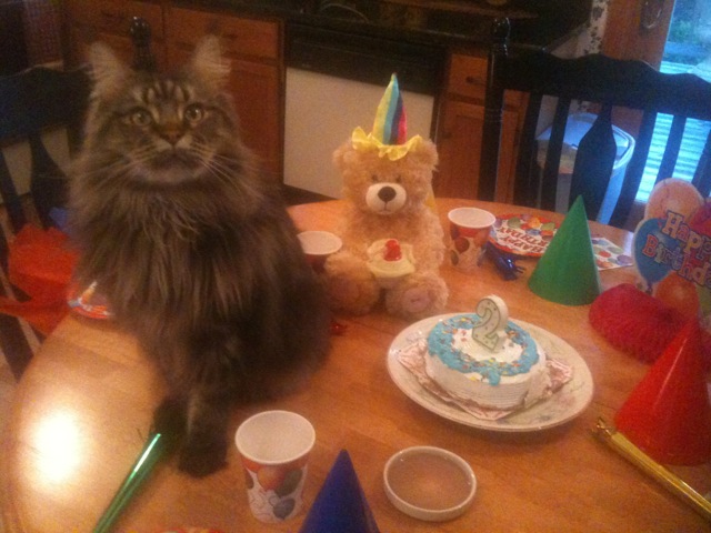 Cody at his birthday party.